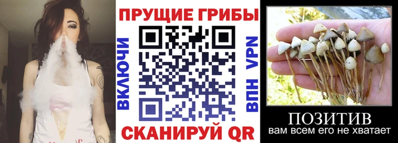 дарнет шоп Озёрск Галлюциногенные грибы мухоморы